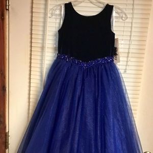 Tiffany Princess  Blue Velvet Pageant size 8